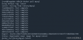 Docker安装MySQL详解