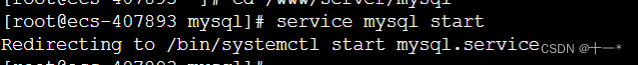 Linux服务器中启动mysql出现Redirecting to /bin/systemctl start mysql.service错误及处理