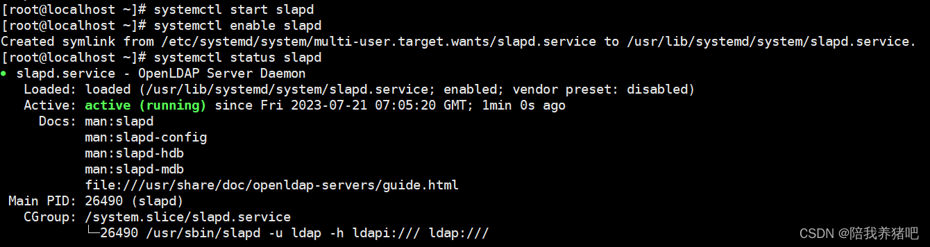 全网最全Centos7.9搭建LDAP服务器+图形界面