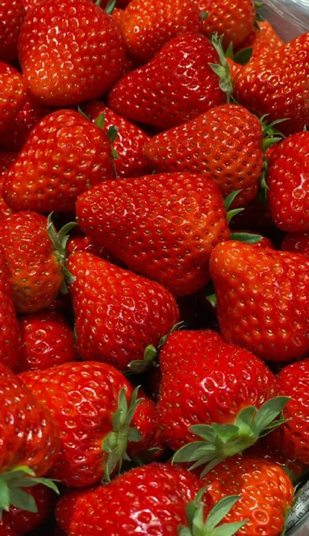ins风格超火的草莓壁纸 很甜很温柔的草莓皮肤