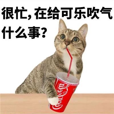 猫猫文字表情包张张可爱 很忙在给可乐吹气什么事