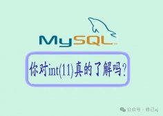 你对MySQL的int(11)真的了解吗？