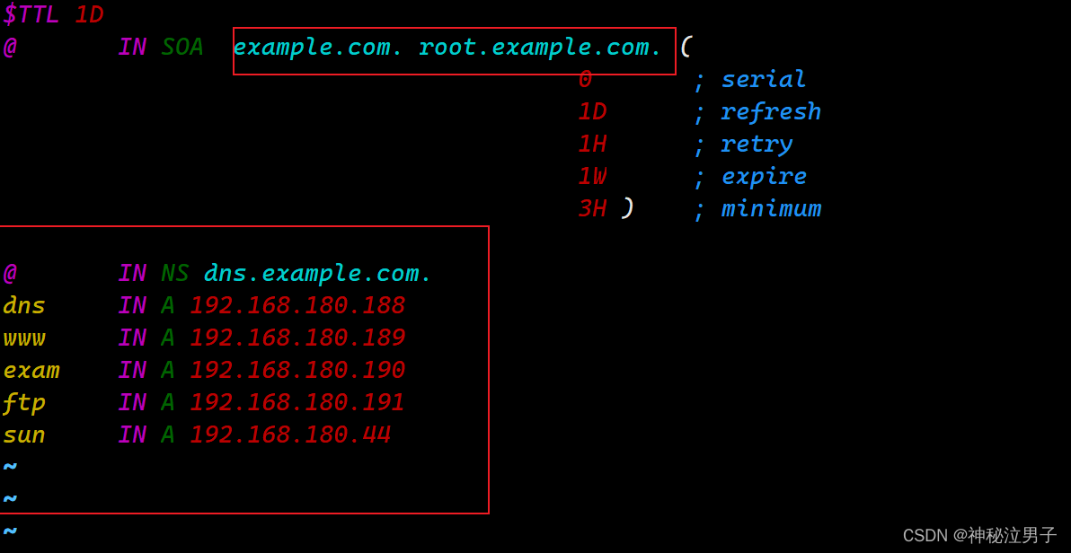 Linux中搭建DNS域名解析服务器的详细过程