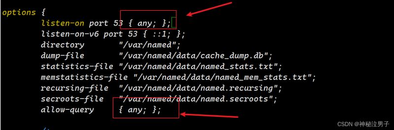 Linux中搭建DNS域名解析服务器的详细过程
