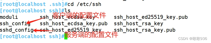 关于SSH服务解读