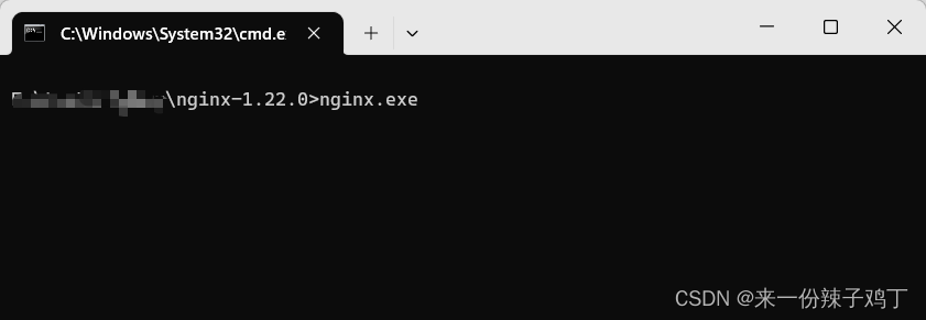 windows系统下安装Nginx及简单使用过程