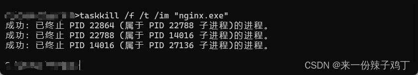 windows系统下安装Nginx及简单使用过程