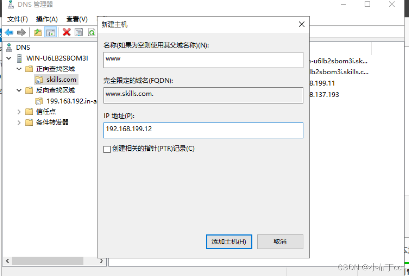 Winserver2019搭建主辅域名解析服务器的方法