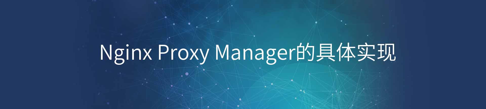 Nginx Proxy Manager的具体实现