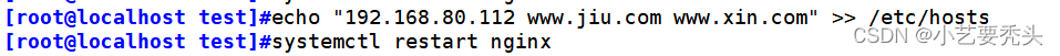 Nginx之rewrite重写的具体使用